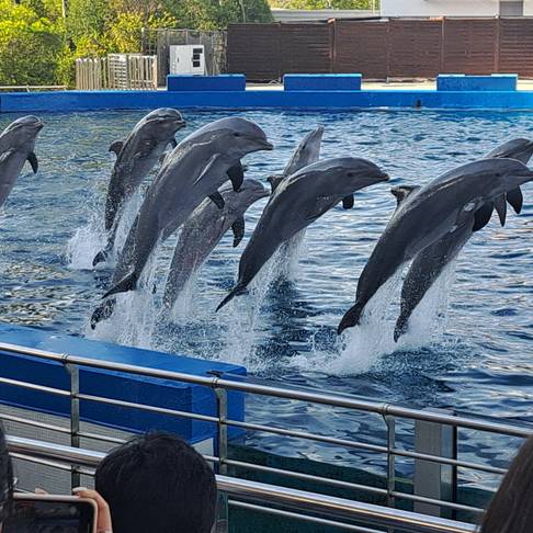 Fotografie Valencia září 2025-2